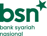 BSN Logo BSN